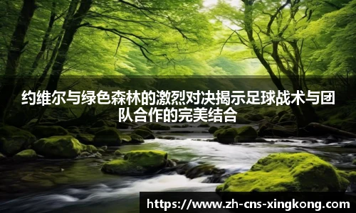 星空体育官网