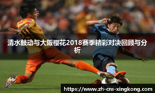 星空体育在线官网